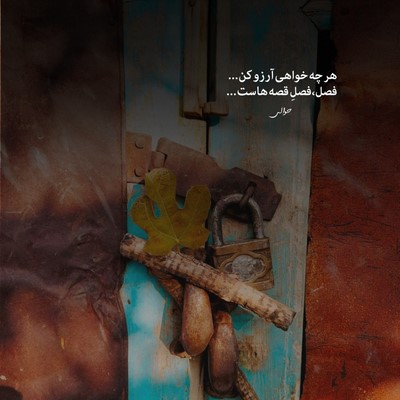 مهدیار روزا رنگی نیس تیره و مشکیش پره